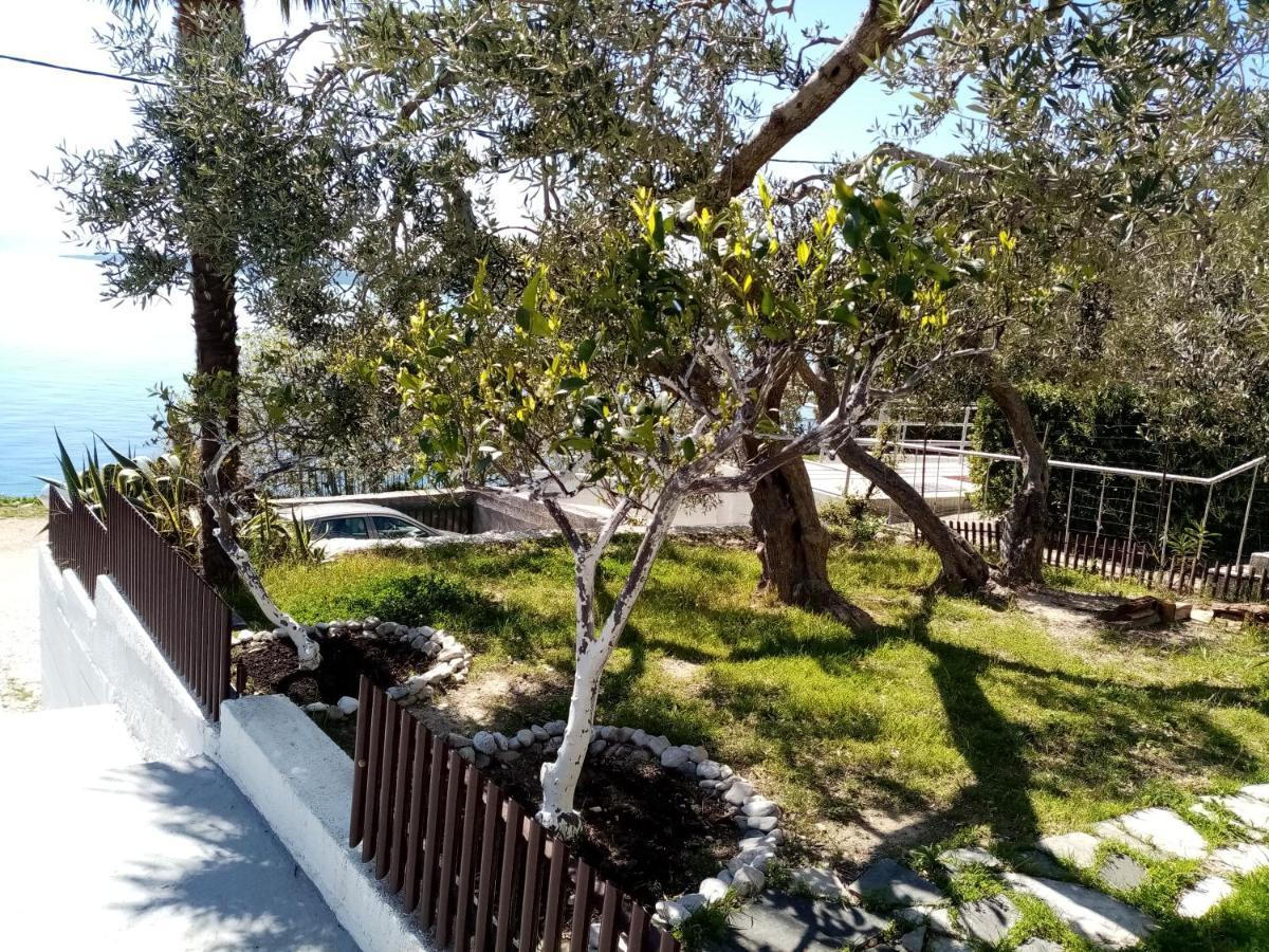 Apartment Hortenzija Baska Voda Ngoại thất bức ảnh