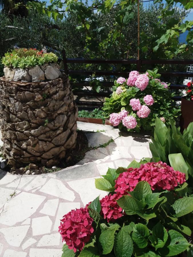 Apartment Hortenzija Baska Voda Ngoại thất bức ảnh